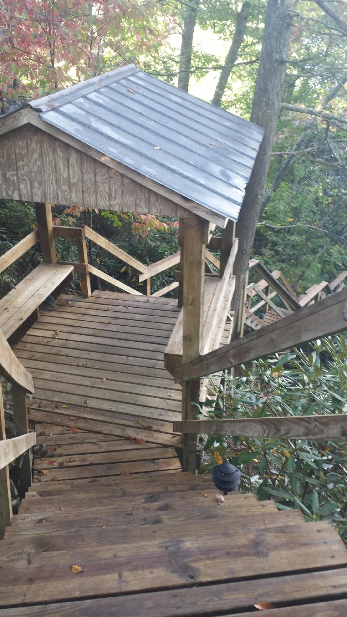 Metal roofed shelter over wooden steps on a wooded walkway — Skylight Repair & Installation work by our crew in Talbotton